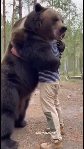 Bear hug a man, so Sweaty #animals #beer #wildlife #animals