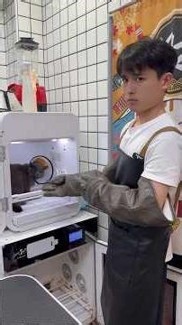 Cat vs Groomer Battle #cat #grooming #funny