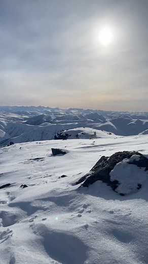 Dall Sheep Research - The Alaska Department of Fish and Game just completed stage 2 of the Brooks Range Dall’s Sheep Research project. In June of 2023, 50 GPS collars were deployed on young rams in both Gates of The Arctic National Park and in portions of Game Management Units 24A and 25A. An additional 60 ewe collars were deployed in early April, 2024. The research objectives are to compare survival, recruitment, and population growth in areas open to full curl harvest versus areas closed to hu