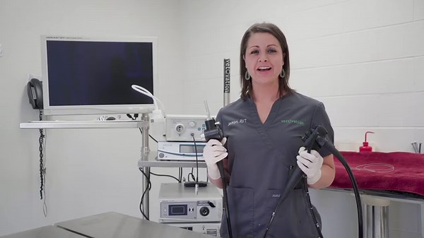 VetOvation Veterinary Endoscope System: Setup, Operation, and Cleaning Guide