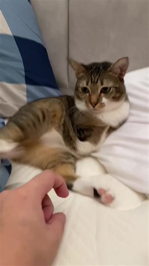 Tutu's Dynamic Dance: Legs in Motion