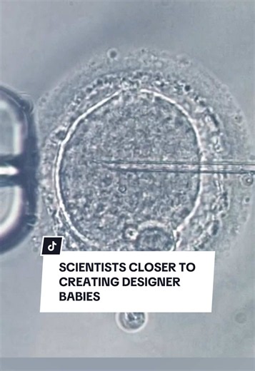 Scientists Edit DNA in Human Embryos — What this Means
