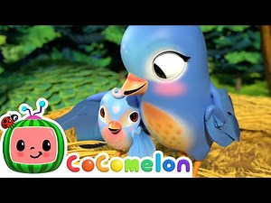 Five Little Birds Song! | CoComelon Furry Friends | Animals for Kids