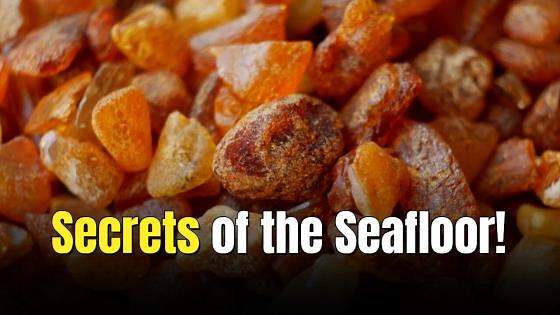 Magnetofossil crystals reveal Earth’s first animal navigation system