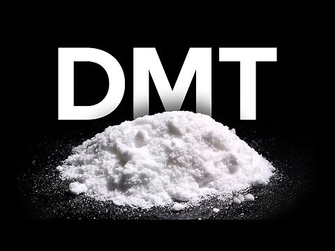 What the Research Says about DMT