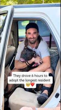Watch Dog’s Reaction When She Meets Her New Family 🥹❤️ #dog #rescue #adopt #love #family #shorts