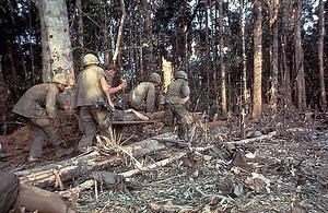Dak To, South Vietnam: Plasma is given to a wounded member of the 173rd Airborne Brigade on Hill 875 as he is carried on a stretcher through the densely wooded area. 11/21/1967 | Vietnam Veteran Honoring