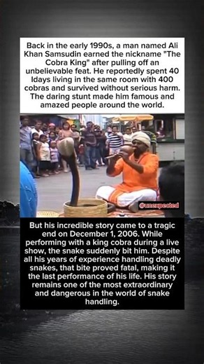 He Survived 400 Cobras for 40 Days But One Bite Changed Everything