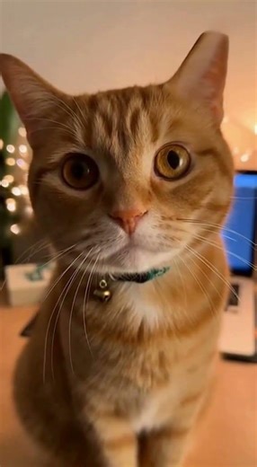 Watching this instead of homework?