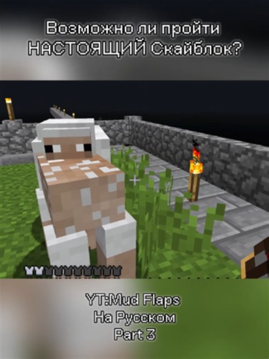 Is it possible to complete a real SkyBlock? #minecraft #gaming #game #mine #fyp