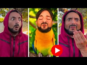 **Mercuri 88** Try Not To Laugh Watching Funny MANUEL MERCURI TikTok Compilation! (1 HOUR)