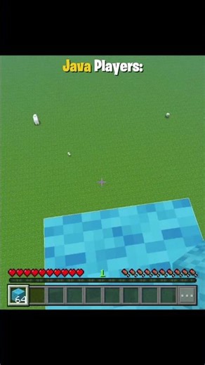 Java vs Bedrock Players Moment