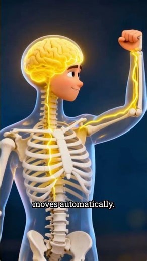 Your Brain Reacts Before You Do ⚠️