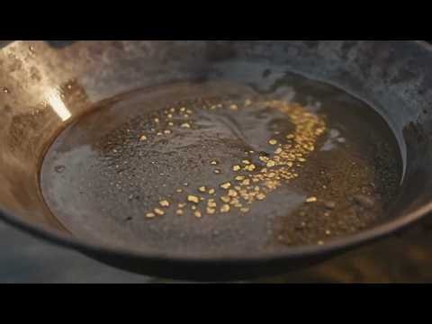 Gold Fever: The Brutal Truth of the California Gold Rush ⛏️ (History Documentary)