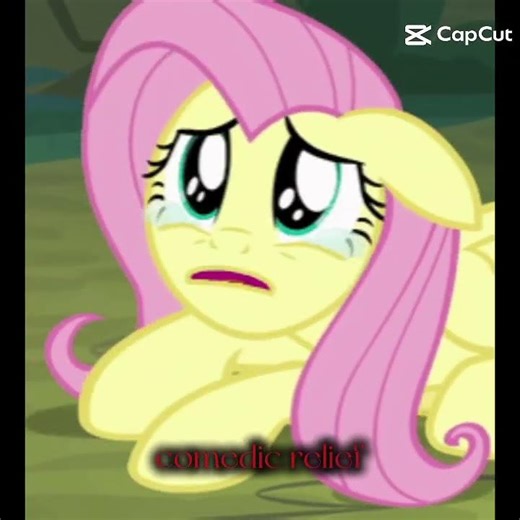 💛Fluttershy💛 2 (Twilight x Flash Sentry)