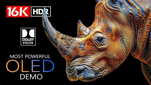 非洲野生动物 OLED 演示｜HDR 8K 超清   杜比视界，原野细节震撼呈现_4