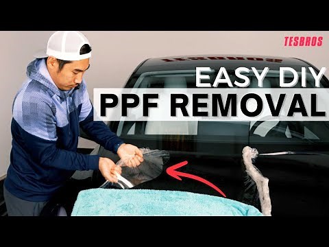 How To Remove Paint Protection Film (PPF) At Home Fast - DIY Tips - TESBROS