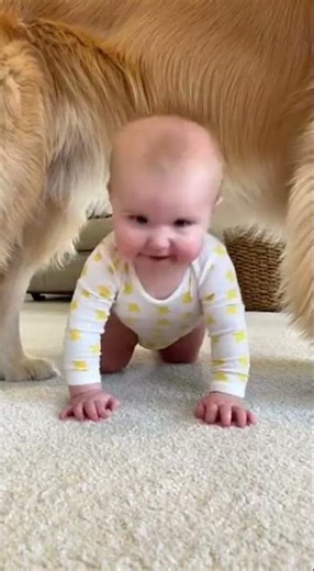 😂 Hilarious Baby & Dog Moments That’ll Make You Laugh Out Loud!