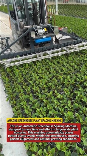Amazing Greenhouse Plant Spacing Machine | Automatic Pot Planting Technology 2025.