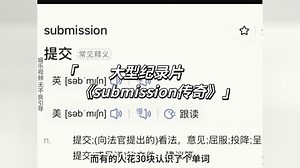 大型纪录片《submission传奇》