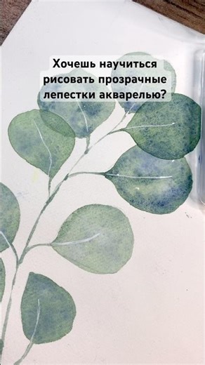 Прозрачные лепестки🌸 #акварель #творчество #акварельдляначинающих #урокирисования #lumis