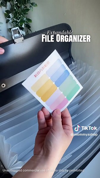 Expandable File Organizer #fileorganizer#expandablefileorganizer#expandablefolder