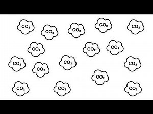 Episode 7: Carbon Offsetting – The Right Way to Do It