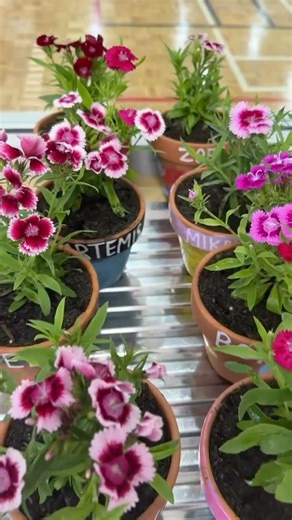 The Little Thinkers | Early Learning | Busy bees at yesterday’s garden themed session! 🐝🌸 Planting flowers, exploring soil and learning exactly what plants need to survive -... | Instagram