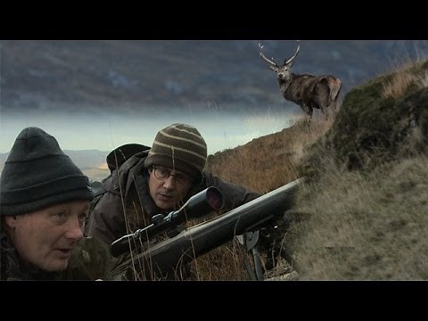 Deer stalking - Patrick Barkham in Scottish Highlands