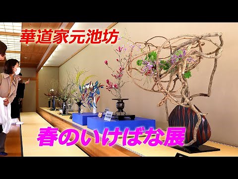 華道家元池坊・春のいけばな展（2024年3月15日 京都市中京区） Flower arranger Ikenobo Spring Ikebana Exhibition