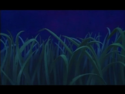 Timon és Pumba a Föld körül