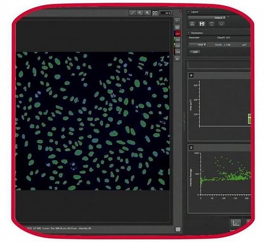 How to extract quantitative data from your image using the AI pixel classifier – Lifeboat News: The Blog