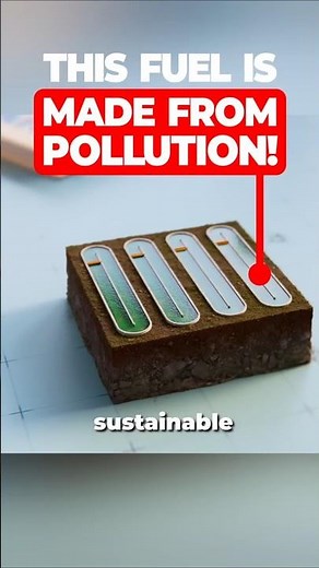 This Fuel is Grown from Pollution!