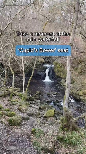 It's #WorldMentalHealthDay, the perfect time to try out this week's 'Walk of the Week', Hareshaw Linn. Physical activity has lots of benefits for our mental health. Walking in the National Park can help decrease stress, lift mood, and ease symptoms of anxiety and depression. The Hareshaw Linn trail is a magical walk towards a spectacular waterfall and is a popular route in Northumberland National Park. Hareshaw Linn is a Site of Special Scientific Interest (SSSI), designated for its rare ferns a
