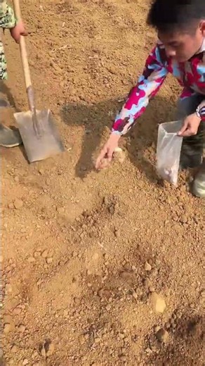 Rural Guardian: The Hardest Part of Farming Life - RuralGuardian, RuralFlavor, FarmingLife