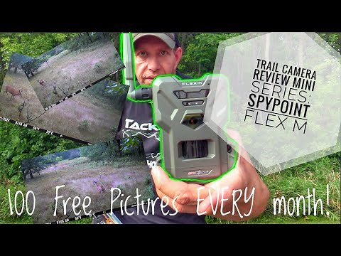 Trail Camera Review Mini Series 2024: Spypoint Flex M Review