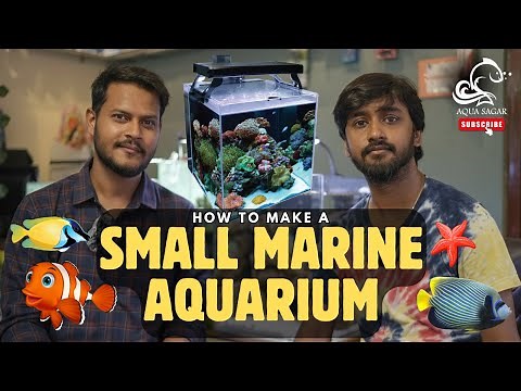 How to Make a Small Marine Aquarium | Easy Marine Tank Setup Guide for Beginners