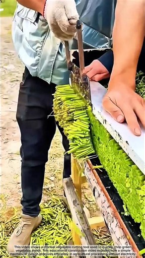 Manual Vegetable Cutter Tool | Simple Agricultural Construction Technique