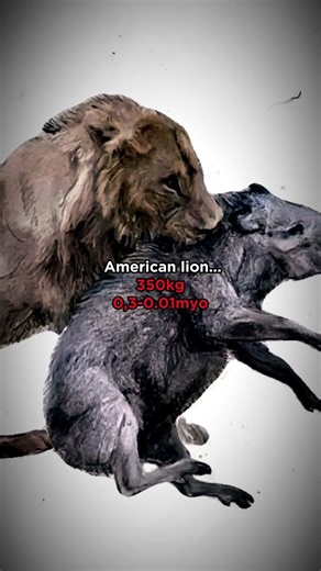 Prehistoric cats were giant and terrifying