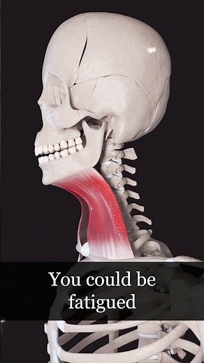 Why “Adrenal Fatigue” Is a Misleading Diagnosis