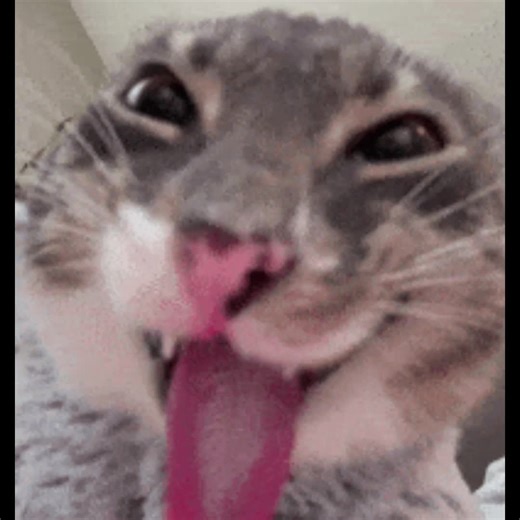 #Meme #MemeCut #CapCut #larry | larry