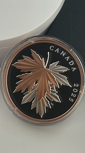 Discover the beauty of the 2025 Canada 10 oz Gleaming Maple Leaves Silver Coin! Crafted in .9999 fine silver, this coin features the iconic maple leaf design in stunning detail, celebrating Canada's national symbol. With its impressive 10 oz weight and radiant finish, this collectible is perfect for silver enthusiasts and fans of Canadian coinage. A true masterpiece of artistry and quality! #GleamingMapleLeaves #CanadianSilver #2025SilverCoin #10ozSilver #MapleLeafCoin #FineSilver #BullionExchan