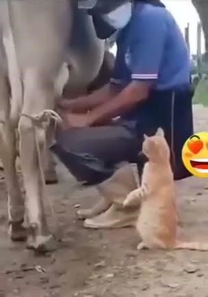 #LastVideoChallenge - NewsBreak