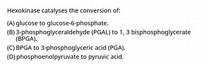 Hexokinase catalyses the conversion of:(A) glucose to glucose-... | Filo