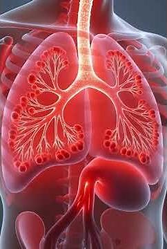 What Happens When You Take a Deep Breath