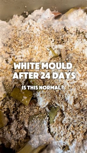 Understanding White Mould in Bokashi Fermentation
