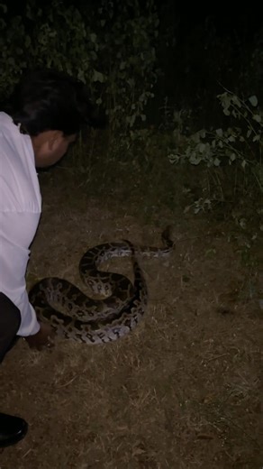 PYTHON RELEASE 😰🙆‍♂️ #python