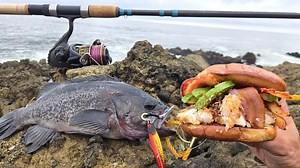 Catching Fish and Cooking it on the Rocks! 🎣 | Fisherman's Life