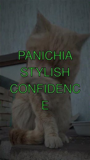 The Feline Fact Why Cats Have More Bones Than Humans Did you know that cats have more...