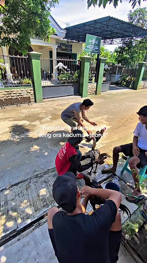 #lewatberandamu #pakoy #minggupagi